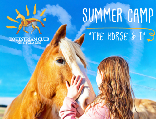 Summer Camp “The Horse & I”