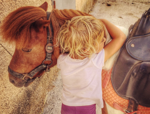 Syros Pony & Horse Club
